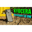 Kyocera DuraSport 5G UW 64GB Rugged 5G Verizon